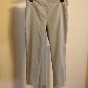 Van Heusen Classic Gray Pants